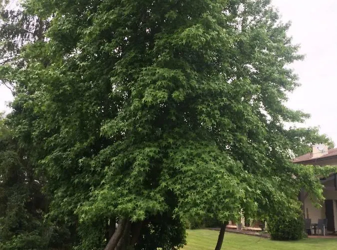 Mariandre * Biscarrosse